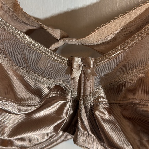 40 DD Goddess Bra - Picture 4 of 4